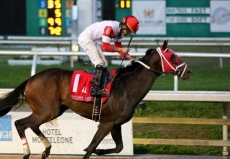 International Star Tries to Stay Perfect at Fair Grounds in Mineshaft