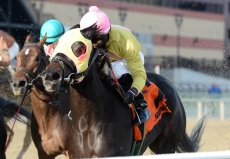 Isabelle Going For Third Straight in $100,000 Broadway Stakes