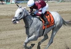 Just Wicked Towers Over Field in $200,000 Pocahontas Stakes