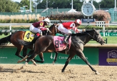 Kentucky Derby 2019 Contenders And Long Shots