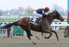 Kid Cruz Aims to Deliver a Preakness Stakes Kick to California Chrome's Ass