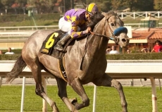 Kobe's Back Looms as Favorite in $200,000 San Carlos Stakes