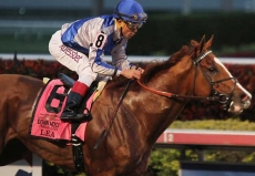 Lea Back in Action in $500,000 Stephen Foster Handicap