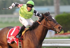 Lochte Looks For Third Straight Win in $100,000 Tropical Turf Handicap