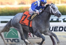 Mohaymen And Nyquist Face Off in Epic $1 Million Florida Derby