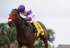 Nyquist Continues Training at Keeneland For Kentucky Derby