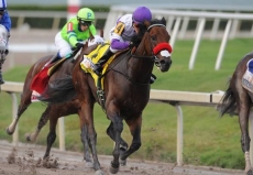 Nyquist Draws Post Position Three in $1.5 Million Preakness Stakes