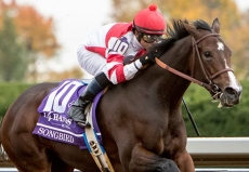 Picks And Preview For The Alabama Stakes