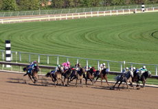 Preakness Stakes: Epicenter Is The Real Deal