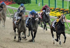 Preakness Stakes Expert Picks