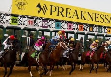 2020 Preakness Stakes Free Picks