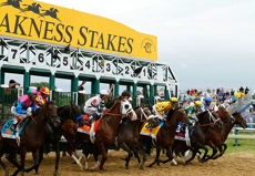 Preakness Stakes Picks 2021