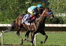 Promising Juveniles Headline $200,000 Saratoga Special