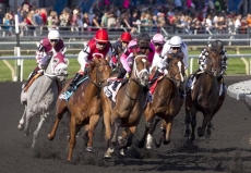 Queen's Plate Stakes Contenders Set to Go to The Gate Sunday