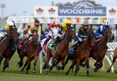 2020 Queen's Plate Picks