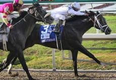 Revolutionary Faces Eight in The Stephen Foster Handicap