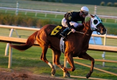 Richard W. Small Stakes is a 13 Horse Betting Extravaganza