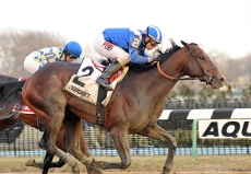 Shagaf Puts Undefeated Streak on The Line in $1 Million Wood Memorial