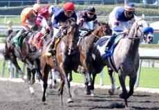 Shared Belief Attempts to Remain Undefeated in The Los Alamitos Derby