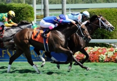 Slumber (GB) Tops Wide Open Field For $100,000 W.L. McKnight Handicap