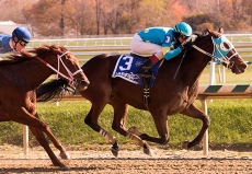 Stakes Debut For Cathryn Sophia in $100,000 Gin Talking Stakes