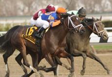 Stopchargingmaria Headlines The $600,000 Alabama Stakes