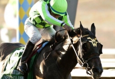 Sunset Glow Headlines Field For $200,000 San Clemente Stakes