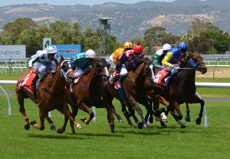 Tiz The Bomb Will Love Belmont Derby Turf