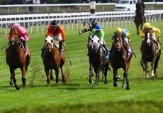 Todd Pletcher Has Loaded Pair For $100,000 Sycamore Stakes