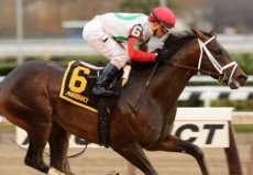 Tommy Macho Looking to Flex in $100,0000 Queens County Stakes