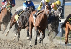 Top Fillies Make 3 Year-Old Debut in $125,000 Silverbulletday