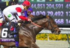 Tough Task For Lady Shipman in $1 Million Breeders' Cup Turf Sprint