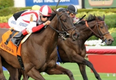 Undefeated Lucy N Ethel Facing Class Test in $100,000 Old Hat Stakes