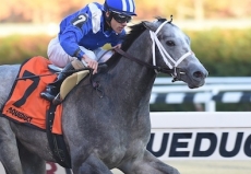 Undefeated Mohaymen Headlines $350,000 Holy Bull Stakes