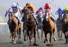 Untapable Takes on The Boys in Grade I Haskell