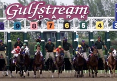 Upstart Kicks Off Sophomore Campaign in $400,000 Holy Bull