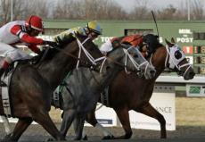 We Miss Artie Headlines Seven in Queen's Plate Trial Stakes