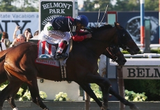 Whittling Down The Field in 2016 Belmont Stakes