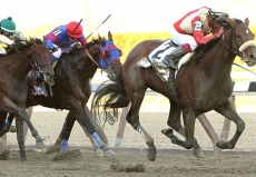 Wicked Strong Taking On Seven In $200,000 Excelsior Stakes